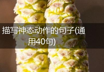 描写神态动作的句子(通用40句)