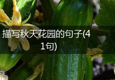 描写秋天花园的句子(41句)