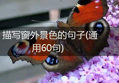 描写窗外景色的句子(通用60句)