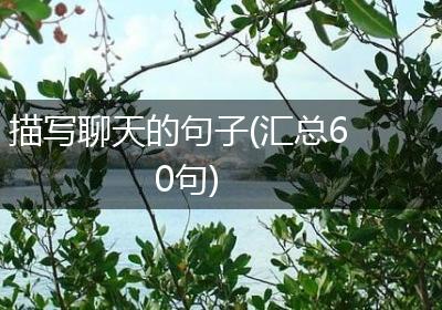 描写聊天的句子(汇总60句)