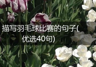描写羽毛球比赛的句子(优选40句)