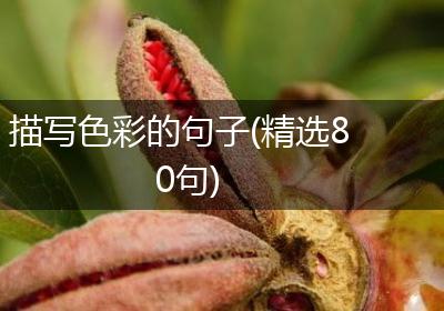描写色彩的句子(精选80句)