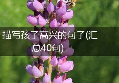 描写孩子高兴的句子(汇总40句)
