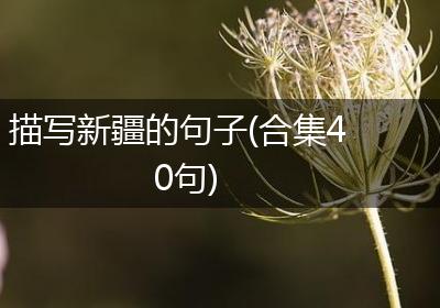 描写新疆的句子(合集40句)