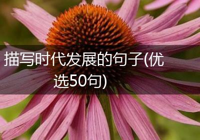 描写时代发展的句子(优选50句)