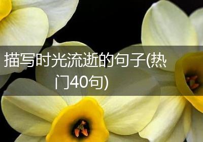 描写时光流逝的句子(热门40句)
