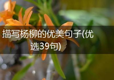 描写杨柳的优美句子(优选39句)