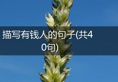 描写有钱人的句子(共40句)