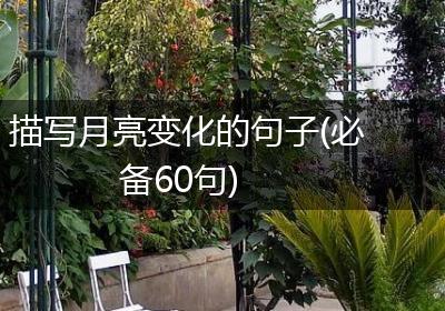 描写月亮变化的句子(必备60句)