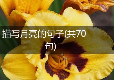 描写月亮的句子(共70句)