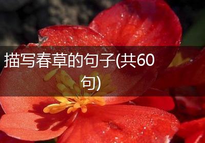 描写春草的句子(共60句)