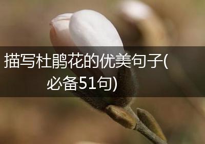 描写杜鹃花的优美句子(必备51句)