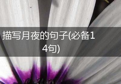 描写月夜的句子(必备14句)