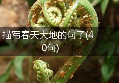 描写春天大地的句子(40句)