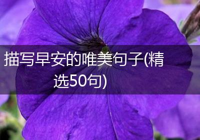 描写早安的唯美句子(精选50句)