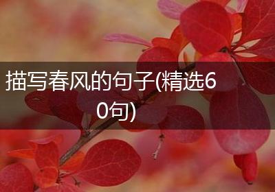 描写春风的句子(精选60句)