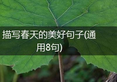 描写春天的美好句子(通用8句)