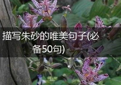描写朱砂的唯美句子(必备50句)
