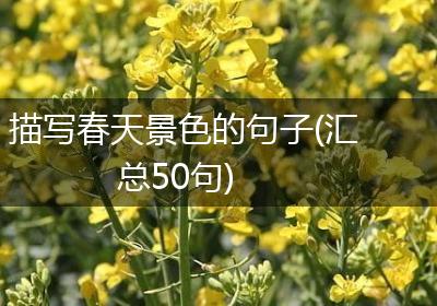 描写春天景色的句子(汇总50句)