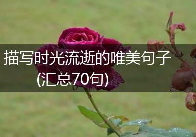 描写时光流逝的唯美句子(汇总70句)