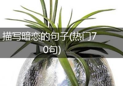 描写暗恋的句子(热门70句)