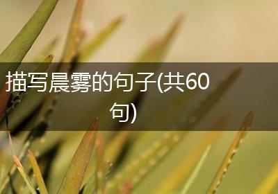 描写晨雾的句子(共60句)