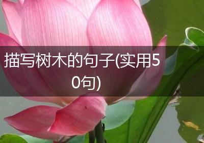描写树木的句子(实用50句)