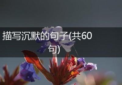 描写沉默的句子(共60句)