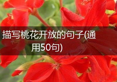 描写桃花开放的句子(通用50句)