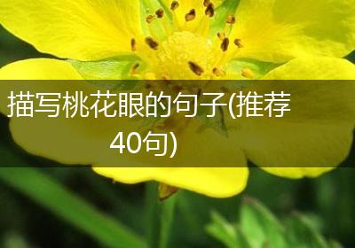 描写桃花眼的句子(推荐40句)