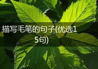 描写毛笔的句子(优选15句)