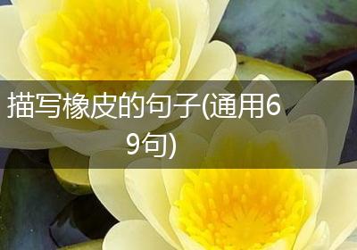 描写橡皮的句子(通用69句)