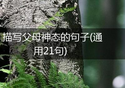 描写父母神态的句子(通用21句)