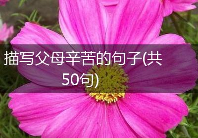描写父母辛苦的句子(共50句)