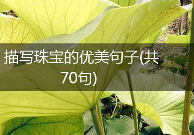 描写珠宝的优美句子(共70句)