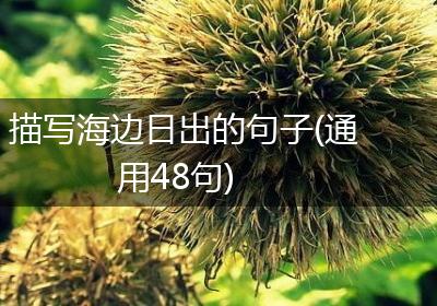 描写海边日出的句子(通用48句)