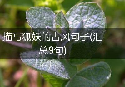 描写狐妖的古风句子(汇总9句)