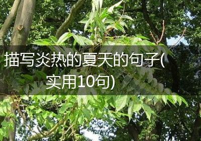 描写炎热的夏天的句子(实用10句)