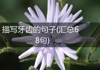 描写牙齿的句子(汇总68句)
