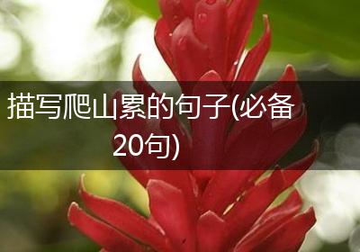 描写爬山累的句子(必备20句)