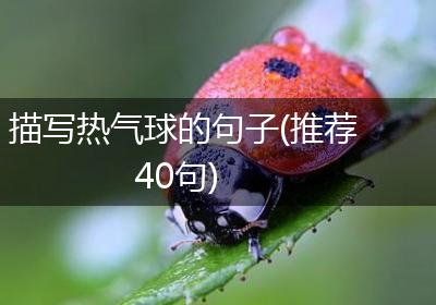 描写热气球的句子(推荐40句)