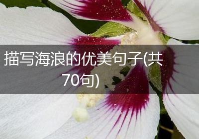 描写海浪的优美句子(共70句)