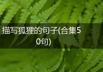 描写狐狸的句子(合集50句)