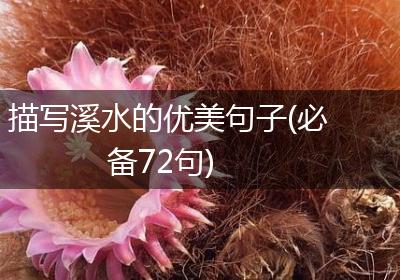 描写溪水的优美句子(必备72句)