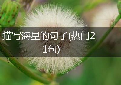 描写海星的句子(热门21句)