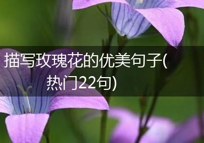 描写玫瑰花的优美句子(热门22句)