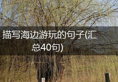 描写海边游玩的句子(汇总40句)