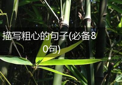 描写粗心的句子(必备80句)