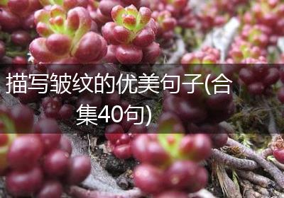 描写皱纹的优美句子(合集40句)