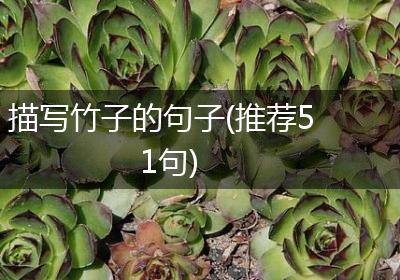 描写竹子的句子(推荐51句)